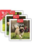Dogs (Set)