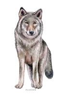 Planner: Weekly Planner Wolf