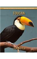 Toucan