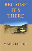 Because It's There - An Epic Road Trip in a 1980's Classic Mini