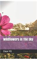 Wildflowers in The Sky