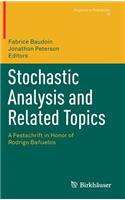 Stochastic Analysis and Related Topics