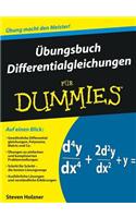 Ubungsbuch Differentialgleichungen Fur Dummies