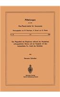 Magnetfeld Des Ringstroms Während Der Hauptphase Erdmagnetischer Stürme Und Ein Vergleich Mit Dem Beobachteten Dst - Anteil Des Störfeldes