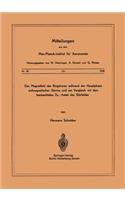 Magnetfeld Des Ringstroms Während Der Hauptphase Erdmagnetischer Stürme Und Ein Vergleich Mit Dem Beobachteten Dst - Anteil Des Störfeldes