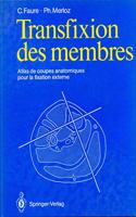 Transfixion Des Membres