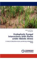 Endophytic Fungal Interactions with Plants under Abiotic Stress