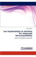 Ion Implantation in Alumina for Improved Biocompatibility