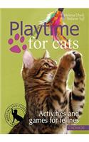 Playtime for Cats