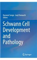 Schwann Cell Development and Pathology