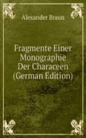 Fragmente Einer Monographie Der Characeen (German Edition)