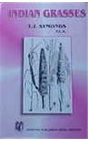 Indian Grasses