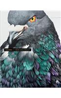 Feathers and Faces