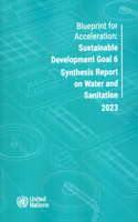 Blueprint for Acceleration: Sustainable Development Goal 6 Synthesis Report on Water and Sanitation 2023