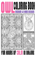 Owl Coloring Book Medium To Hard Designs For Hours Of Calm In Nature
