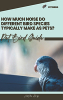 How much noise do different bird species typically make as pets?: Pet bird guide