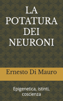 Potatura Dei Neuroni