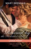 Rescued By The Forbidden Rake
