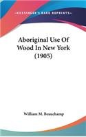Aboriginal Use Of Wood In New York (1905)