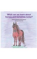 What can we learn about horses and ourselves today?