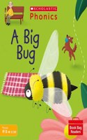 A Big Bug (Set 3): (Phonics Book Bag Readers)