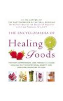 The Encyclopaedia Of Healing Foods