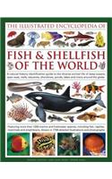 Illustrated Encyclopedia of Fish & Shellfish of the World