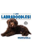 I Like Labradoodles!: (Discover Dogs with the American Canine Association)