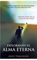 Explorando el Alma Eterna - Perspectivas de la Vida Entre Vidas