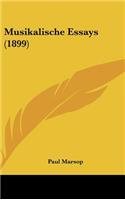 Musikalische Essays (1899)