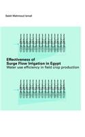 Effectiveness of Surge Flow Irrigation in Egypt: Water Use Efficiency in Field Crop Production
