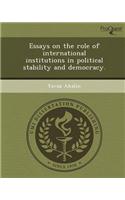 Essays on the Role of International Institutions in Political Stability and Democracy