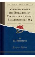 Verhandlungen Des Botanischen Vereins Der Provinz Brandenburg, 1885, Vol. 27 (Classic Reprint)