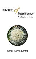 In Search of Magnificence