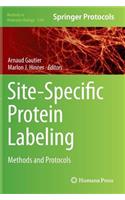 Site-Specific Protein Labeling