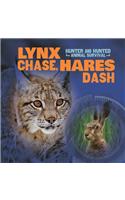 Lynx Chase, Hares Dash