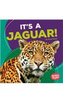 It's a Jaguar!