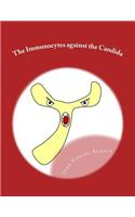Immunocytes against the Candida