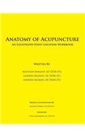 Anatomy of Acupuncture