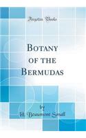Botany of the Bermudas (Classic Reprint)