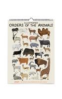 2021 Illustrated Orders of the Animals