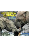 Eavesdropping on Elephants