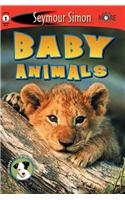 Baby Animals