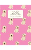 2020 Weekly Planner January to December: Dated With To Do Notes And Inspirational Quotes - Goldie Golden Retriever Pink