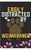 Easily Distracted by Weimaraner