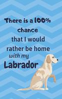 There is a 100% chance that I would rather be home with my Labrador: For medium dog breed fans