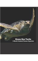 Green Sea Turtle 3-Month Undated Planner Organizer