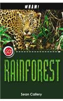 Wham! Rainforest: (Go!)