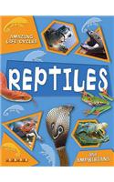 Amazing Life Cycles: Reptiles and Amphibians