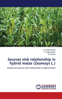Sources sink relationship in hybrid maize (Zeamays L.)